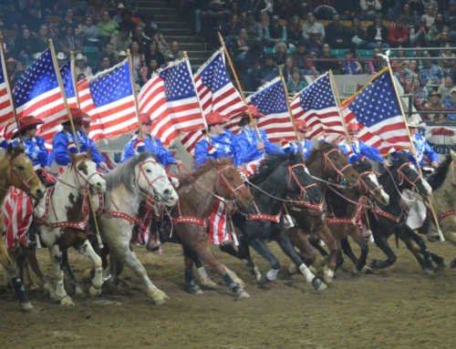 Night at the Rodeo